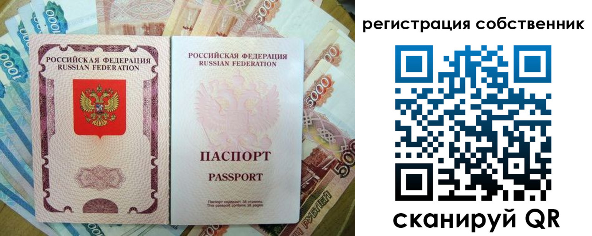прописка гарантия в Бабаево